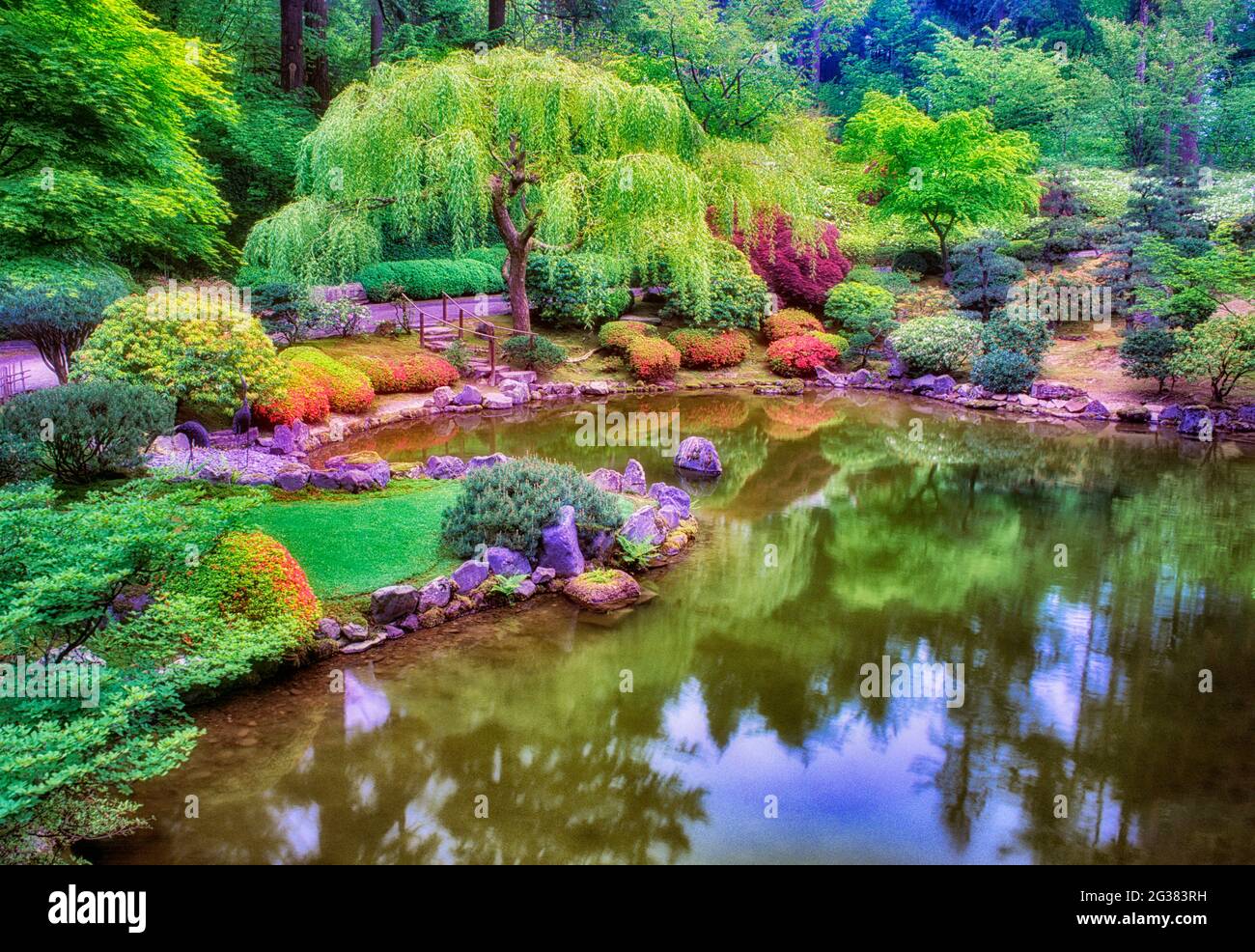 Laghetto e azalee fiorenti. Giardini giapponesi. Portland, Oregon. Foto Stock