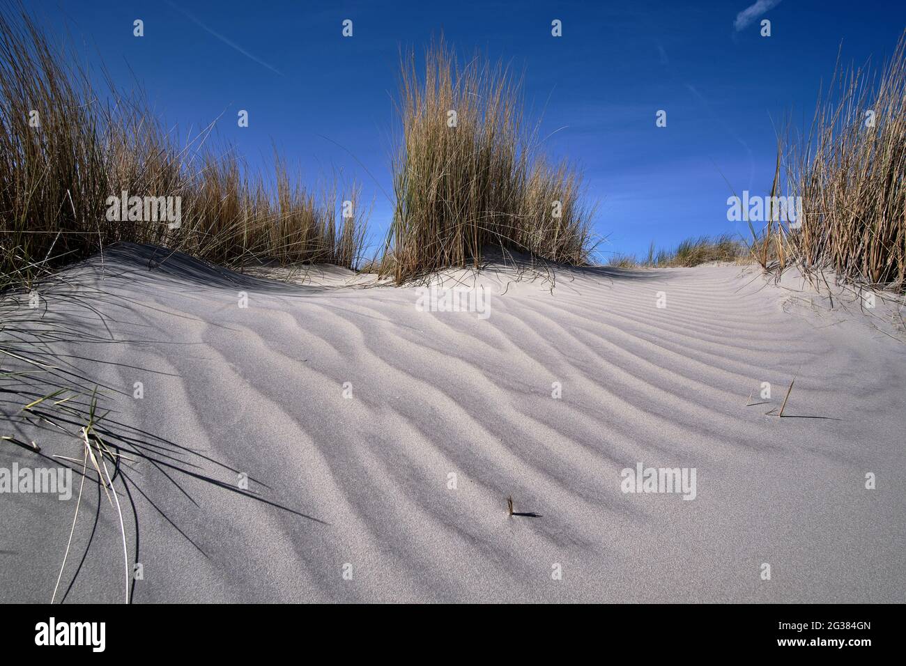 Dune olandesi con motivi di sabbia bianca, erba sulla spiaggia con un cielo blu con nuvole bianche. Paesi Bassi, Ameland 2021 Foto Stock