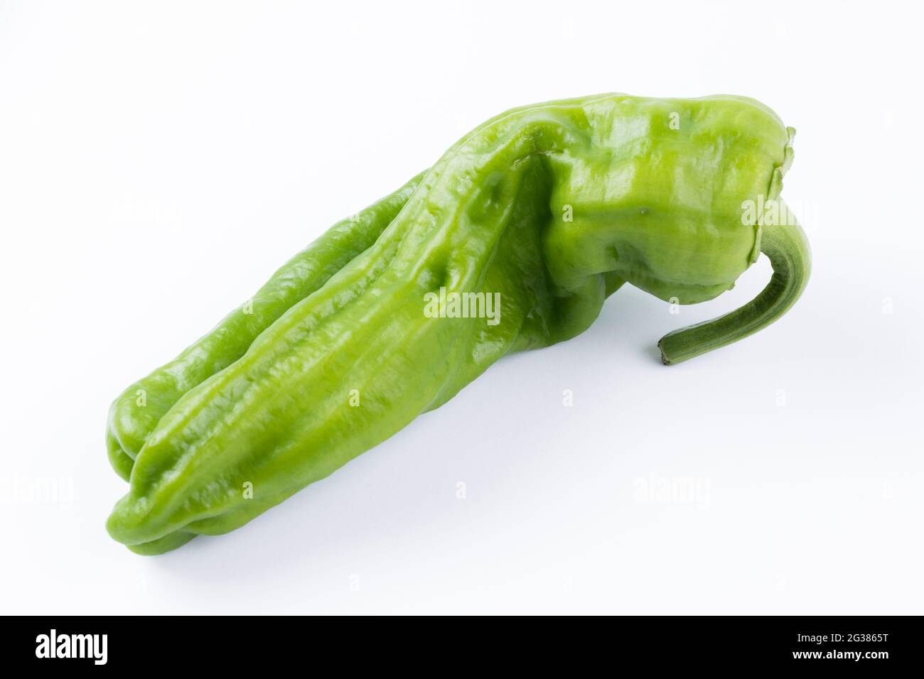 Il peperone, noto anche come peperone dolce, pepe o capsicum, è il frutto di piante del gruppo cultivar di Grossum della specie Capsicum annuum. Foto Stock
