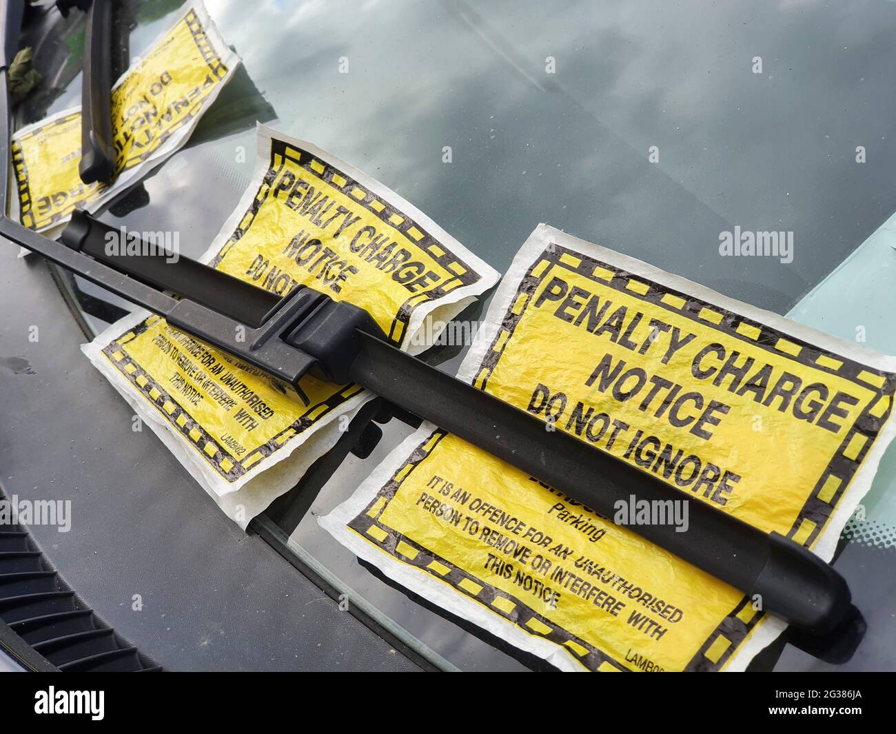 Tre biglietti per il parcheggio su un parabrezza a Lambeth, a sud di Londra. Anna Watson/Alamy Foto Stock