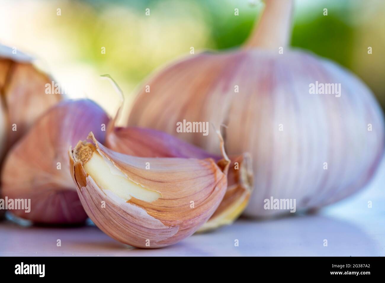 macrofotografia di freschi garlics organici. Foto Stock