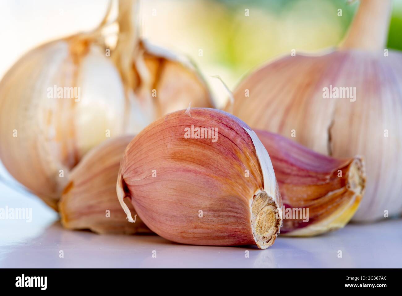 macrofotografia di freschi garlics organici. Foto Stock