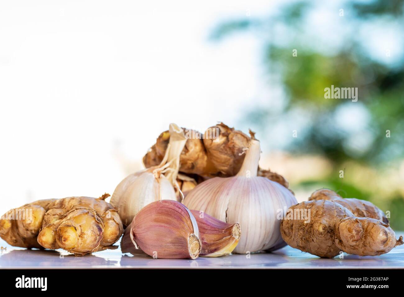 aglio organico fresco e zenzero radici. Foto Stock