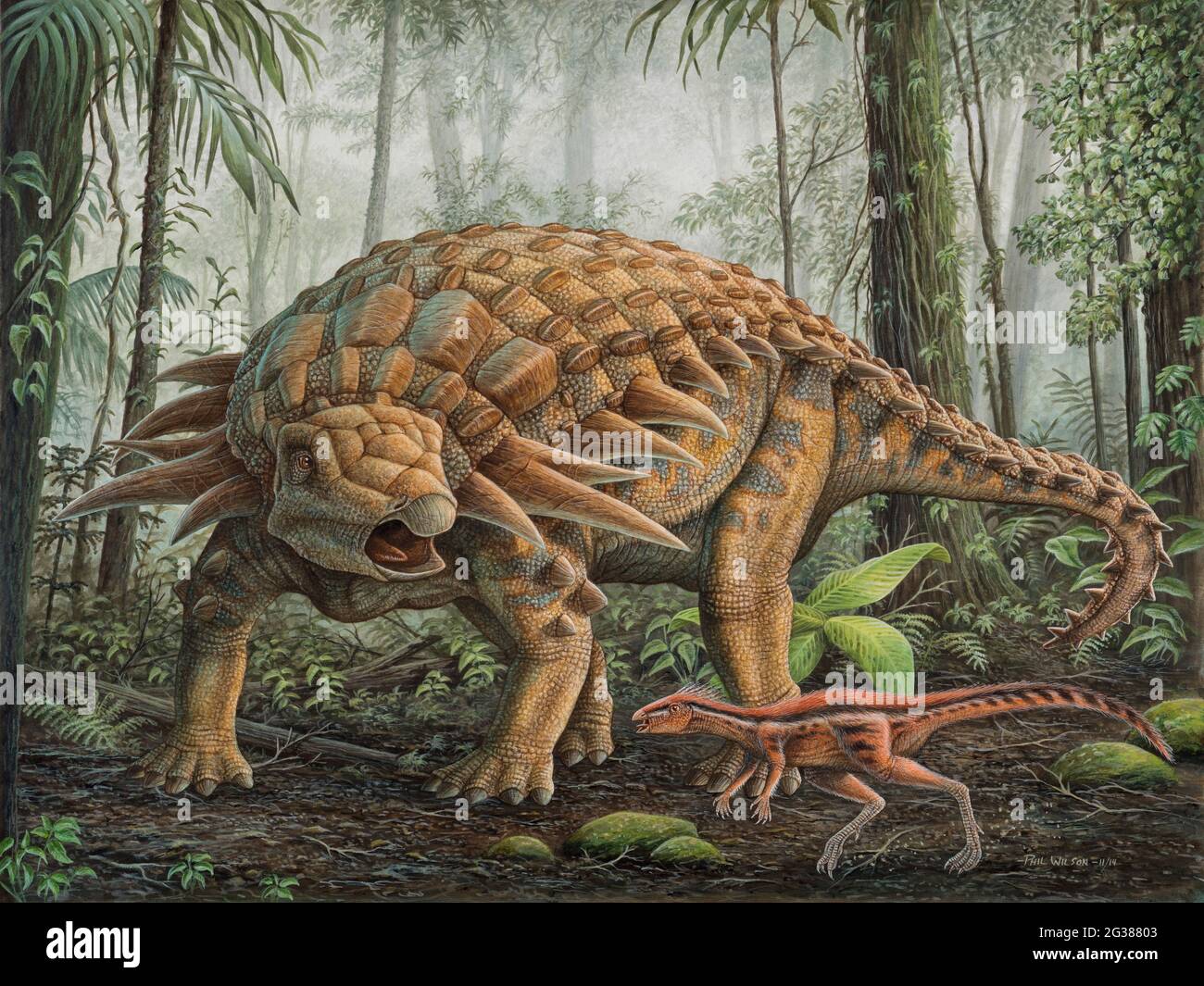 Un piccolo dinosauro di Orodromeo cerca di sbirciare da un Edmontonia in una foresta preistorica. Foto Stock