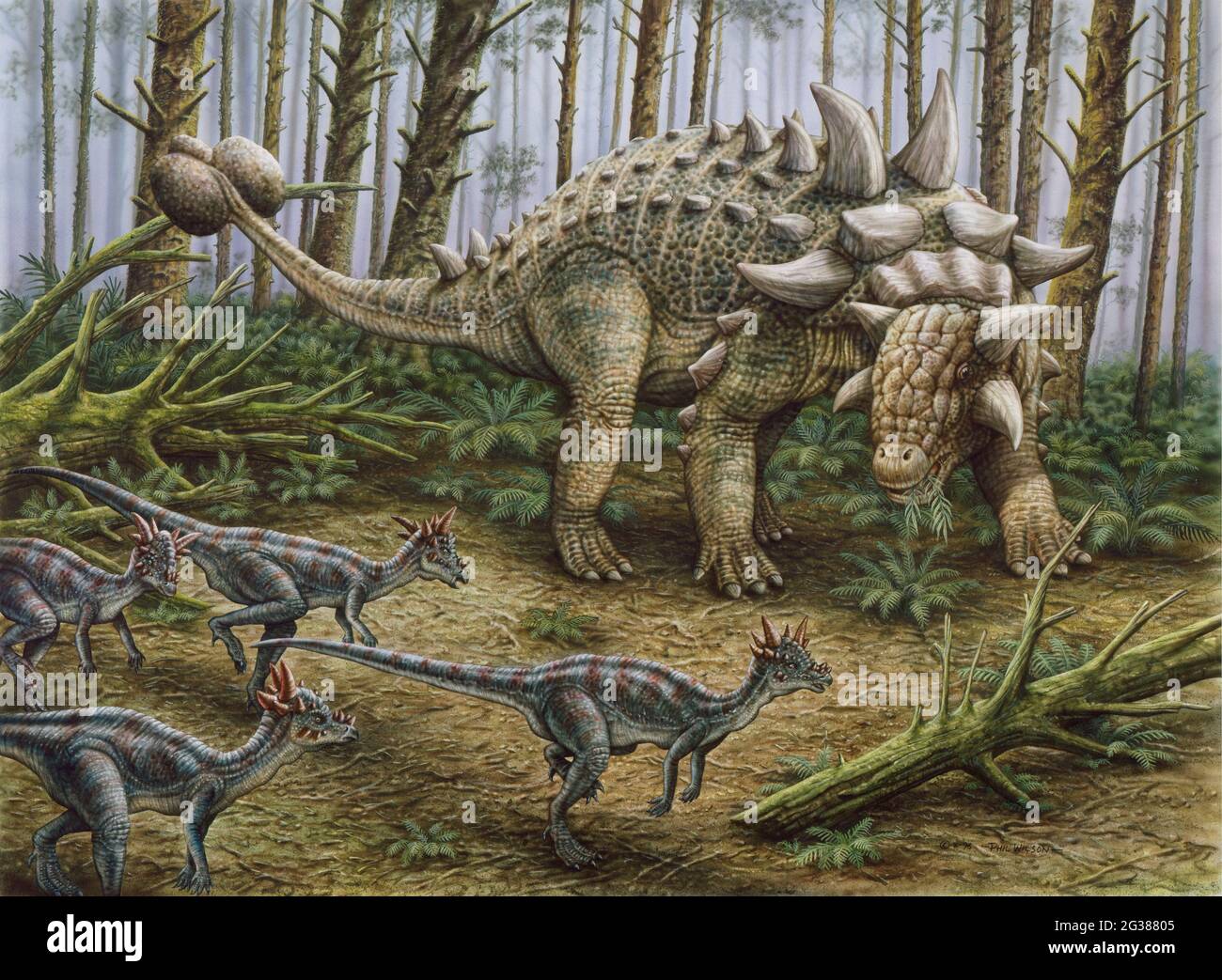 Un gruppo di dinosauri stigimolosi incontra un dinosauro corazzato da Euoplocephalus. Foto Stock