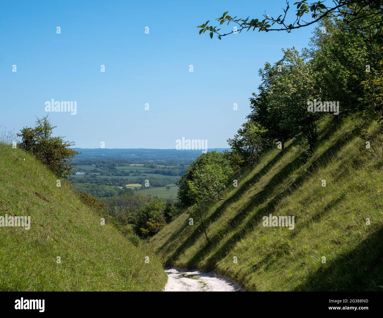 Vista dal basso dal sentiero collinare a Blackcap vicino Lewes in East Sussex, Regno Unito. Foto Stock