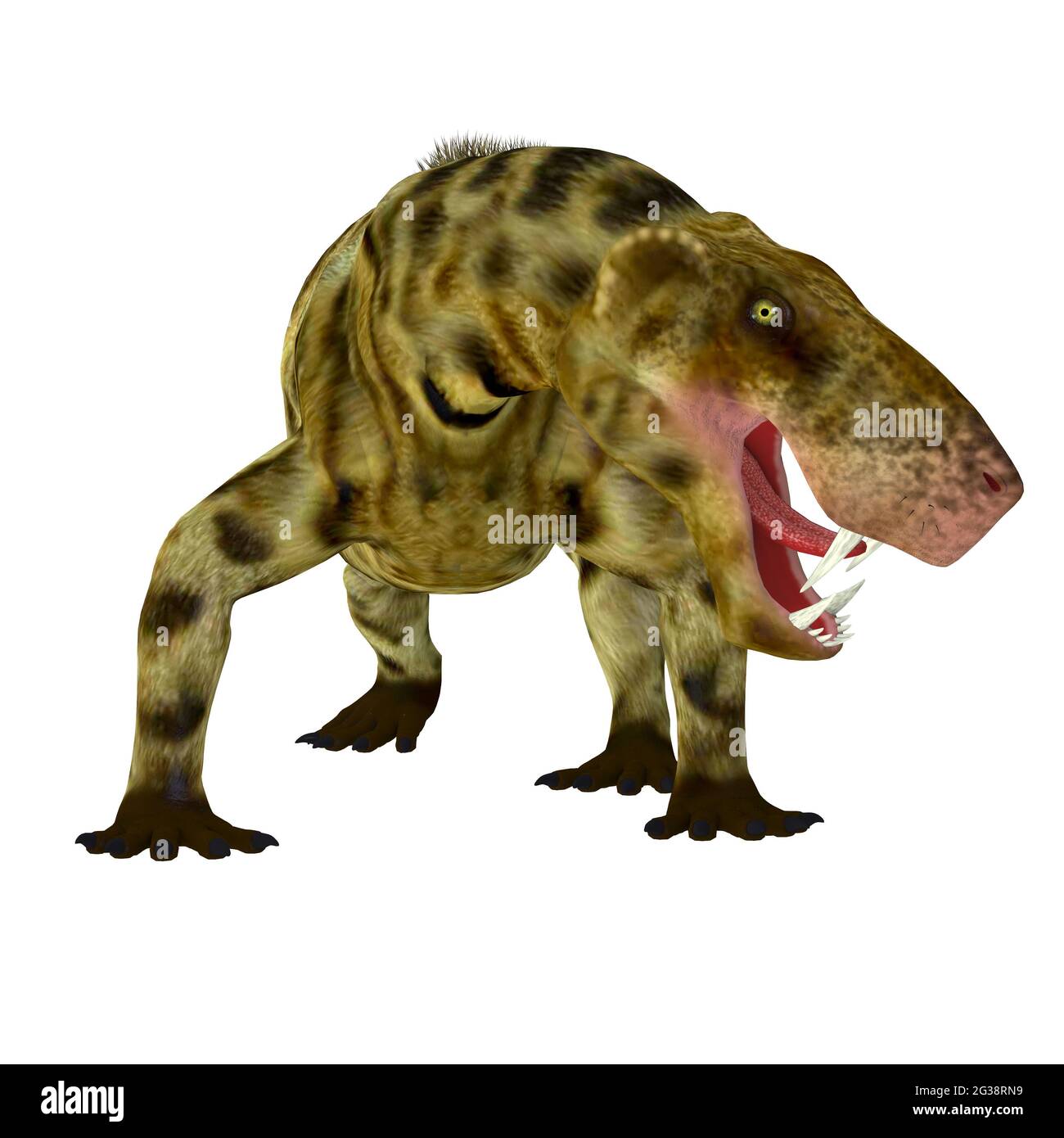 Inostranceva era un predatore simile a un gatto che visse in Russia durante il periodo Permiano. Foto Stock