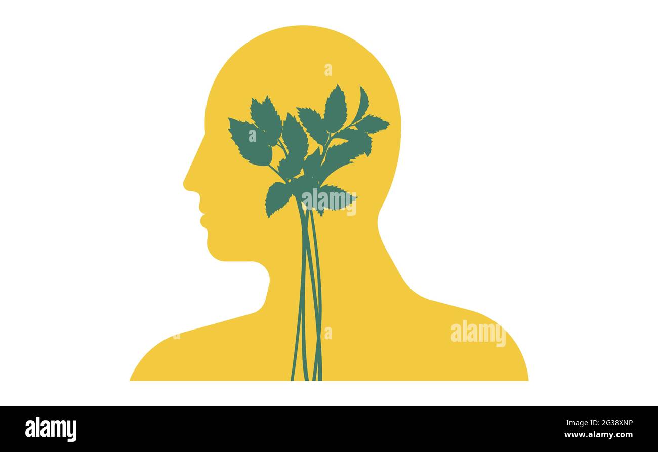 Una persona testa contorno con una pianta verde che cresce Inside.Vegan stile di vita simbolo concettuale. Illustrazione Vettoriale