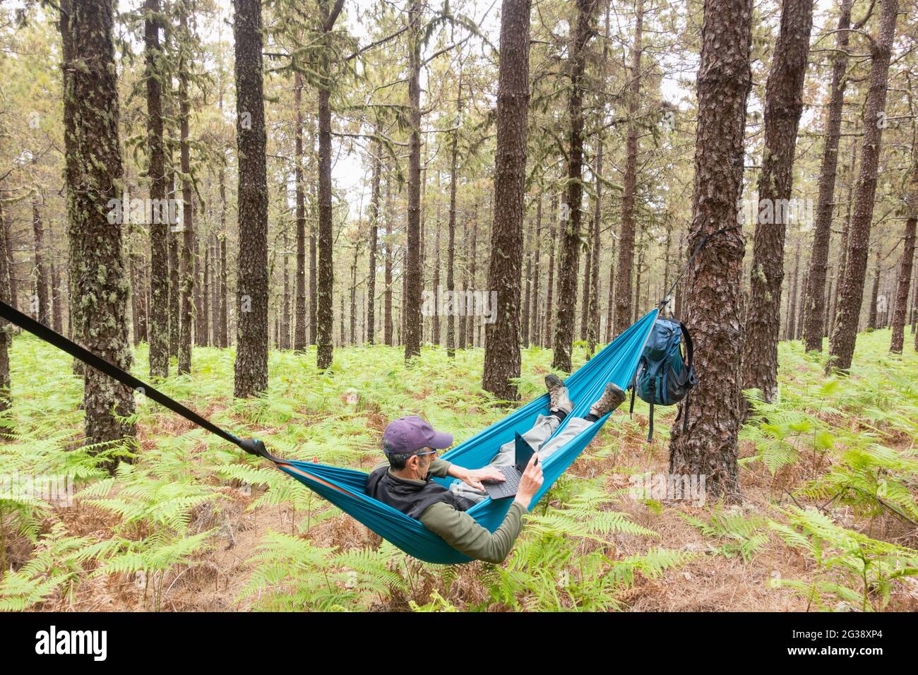 Escursionista maschile maturo utilizzando il computer portatile in amaca in foresta. Possibili utilizzi: Viaggio/lavoro remoto/avventura/nomade digitale/immagine concettuale di Shinrin Yoku Foto Stock