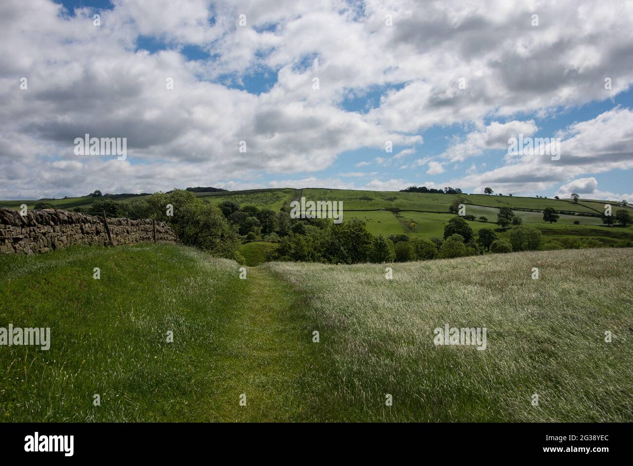 Colline ondulate con una cicatrice: Come un aratro solco, l'ex fossato del Vallo di Adriano è chiaramente visibile nel paesaggio per molti chilometri. Percorrendo tutto il sito patrimonio dell'umanità dell'UNESCO, il sentiero del Vallo di Adriano è uno dei percorsi escursionistici più popolari in Inghilterra. Foto Stock