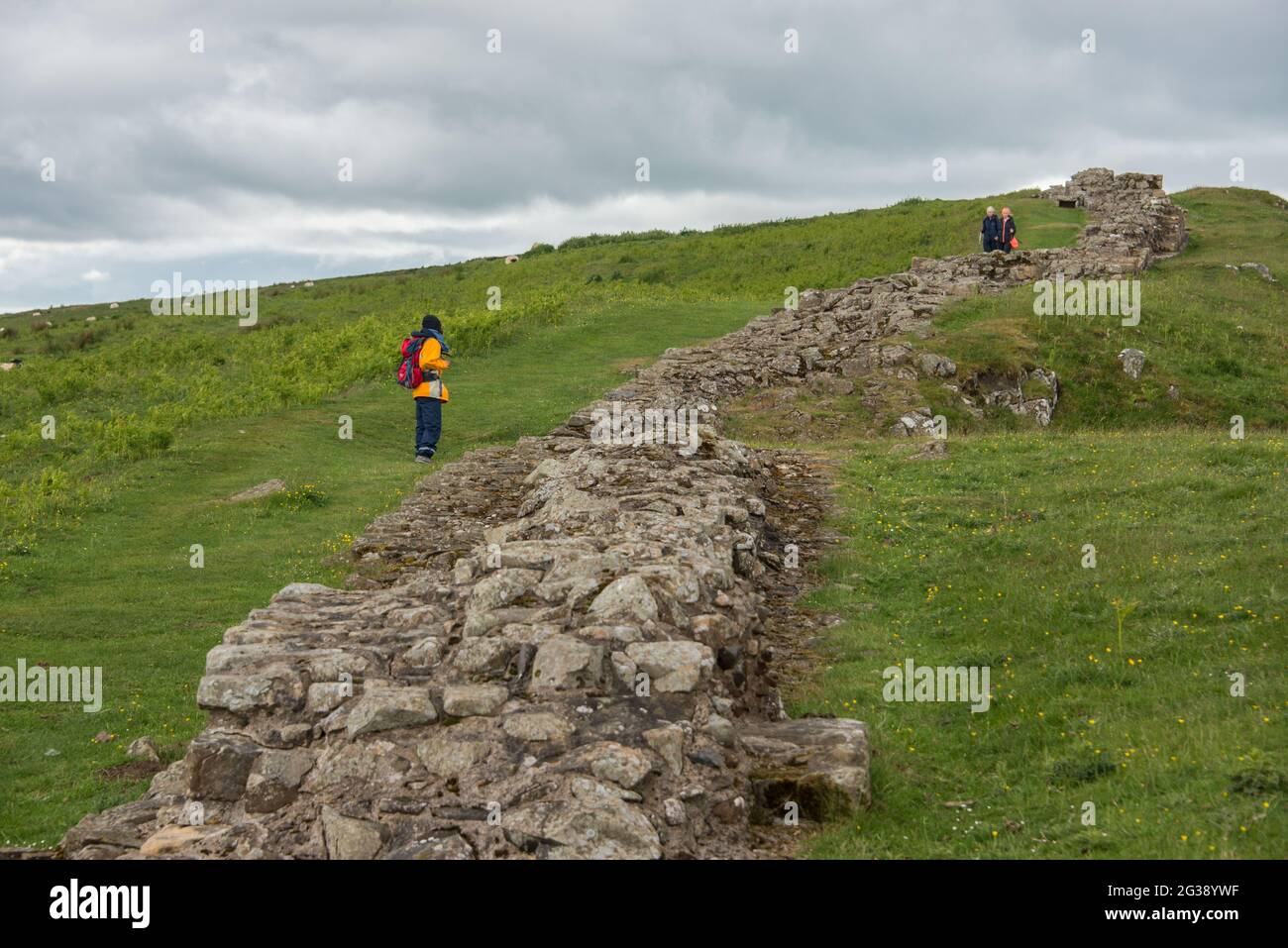 Resti di un segmento del Vallo di Adriano, l'antico muro di confine romano attraverso l'Inghilterra settentrionale, sulle scogliere di Sewingshields Crags vicino a Milecastle 35 a est del forte romano di Housesteads. Percorrendo tutto il sito patrimonio dell'umanità dell'UNESCO, il sentiero del Vallo di Adriano è uno dei percorsi escursionistici più popolari in Inghilterra. Foto Stock