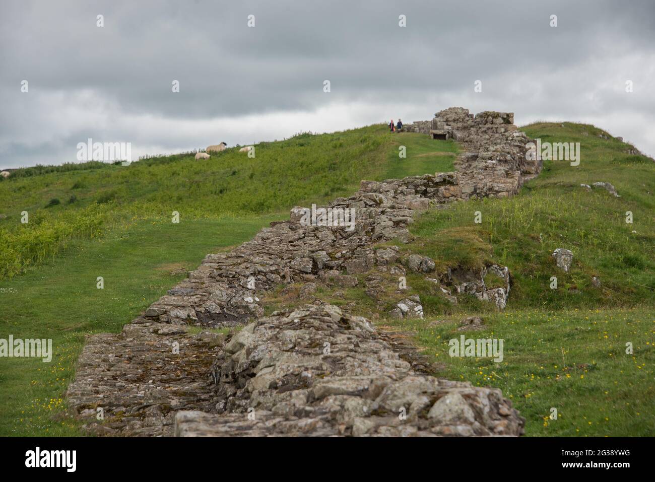 Resti di un segmento del Vallo di Adriano, l'antico muro di confine romano attraverso l'Inghilterra settentrionale, sulle scogliere di Sewingshields Crags vicino a Milecastle 35 a est del forte romano di Housesteads. Percorrendo tutto il sito patrimonio dell'umanità dell'UNESCO, il sentiero del Vallo di Adriano è uno dei percorsi escursionistici più popolari in Inghilterra. Foto Stock