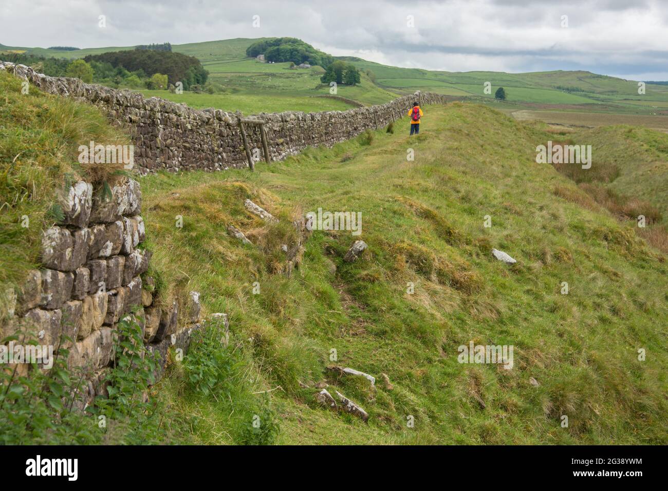 Resti di un segmento del Vallo di Adriano, l'antico muro di confine romano attraverso l'Inghilterra settentrionale vicino a Milecastle 33 a est del forte romano Housesteads. Percorrendo tutto il sito patrimonio dell'umanità dell'UNESCO, il sentiero del Vallo di Adriano è uno dei percorsi escursionistici più popolari in Inghilterra. Foto Stock