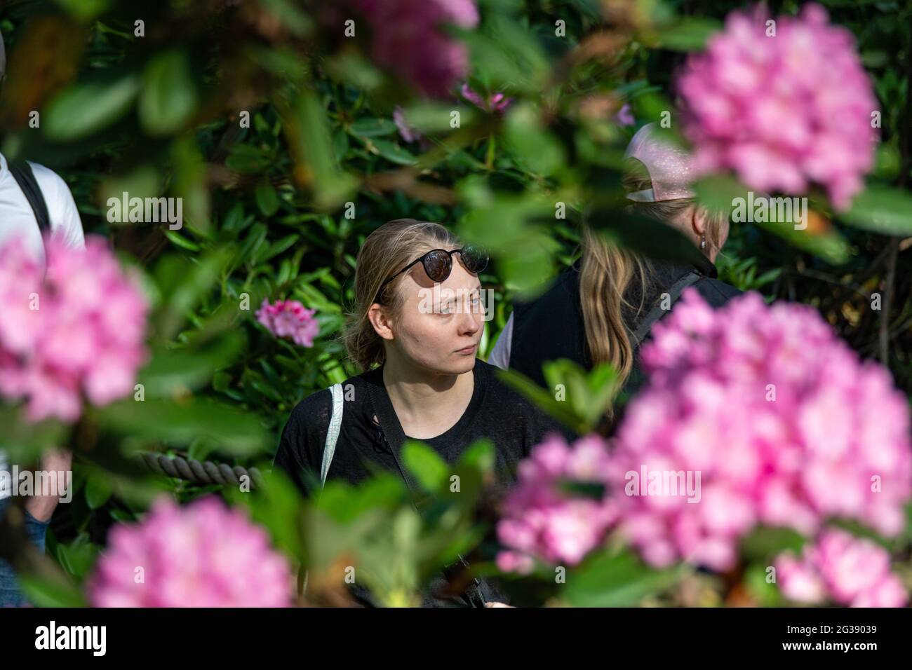 Giovane donna che indossa occhiali da sole sulla fronte incorniciata con fiori di rododendro nel Parco Haaga Rhododendron a Helsinki, Finlandia Foto Stock