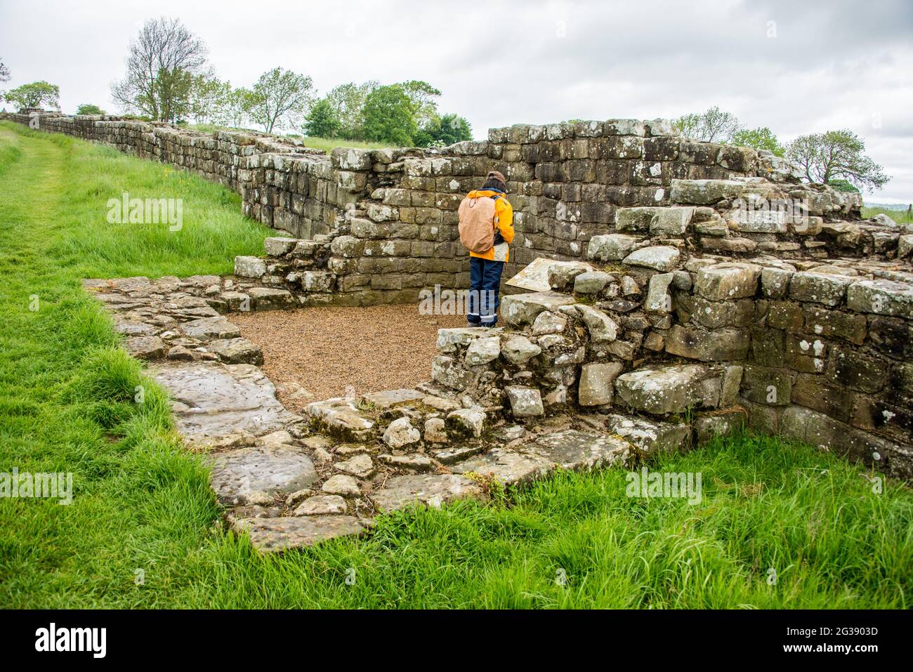 Resti di un segmento del Vallo di Adriano, l'antico muro di confine romano attraverso il nord dell'Inghilterra presso la cosiddetta torretta dei carri neri. Il sentiero del Vallo di Adriano, uno dei percorsi escursionistici più popolari d'Inghilterra, si snoda lungo il Vallo tra Newcastle e il Solway Firth. Foto Stock