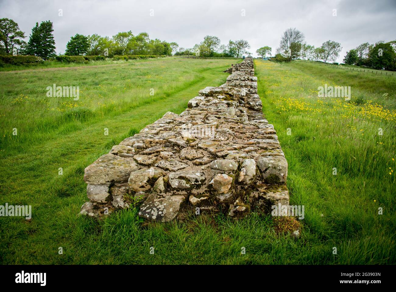 Resti di un segmento del Vallo di Adriano, l'antico muro di confine romano attraverso il nord dell'Inghilterra presso la cosiddetta torretta dei carri neri. Il sentiero del Vallo di Adriano, uno dei percorsi escursionistici più popolari d'Inghilterra, si snoda lungo il Vallo tra Newcastle e il Solway Firth. Foto Stock