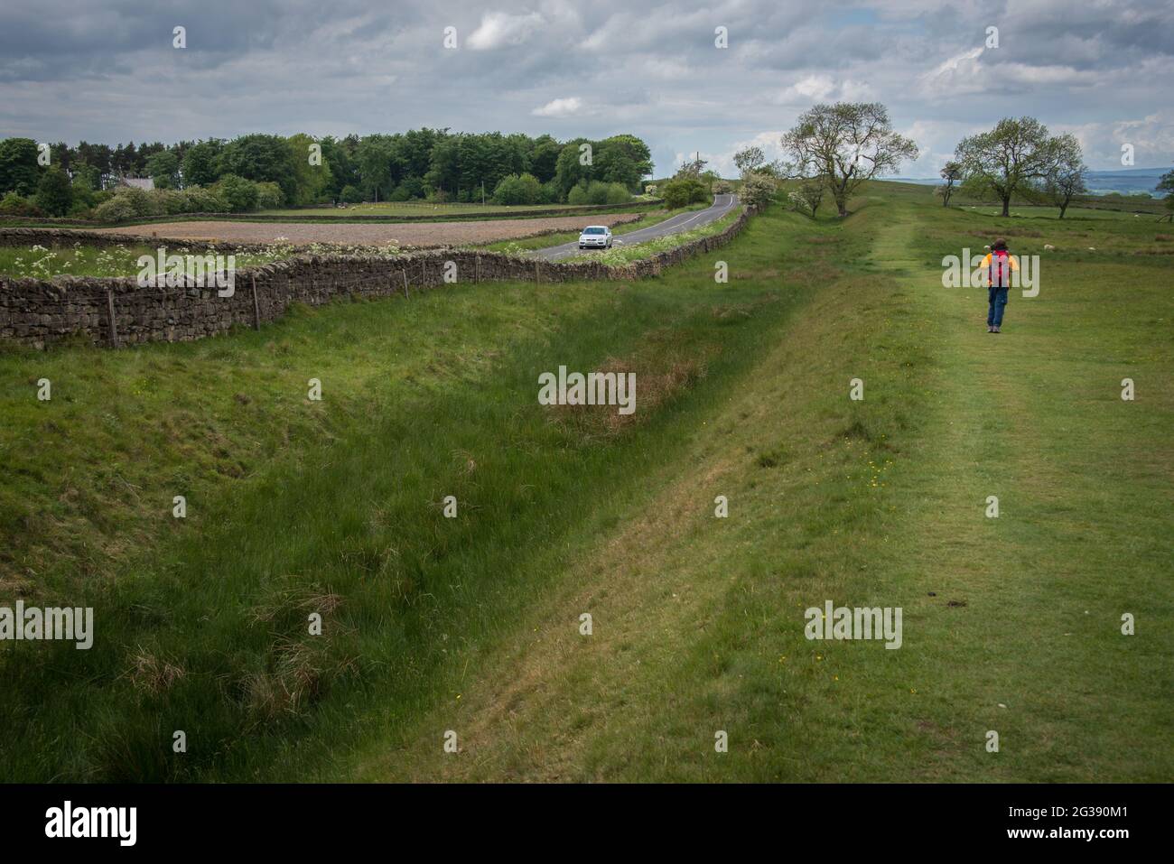 Escursioni lungo il Wall Path di Adriano, uno dei più popolari National Trails d'Inghilterra. Tra Corbridge e Chollerford si vedono raramente parti dell'antica cinta muraria romana, scomparsa sotto la strada. Chiaramente visibile è solo il fossato di fronte alla fortificazione. Foto Stock