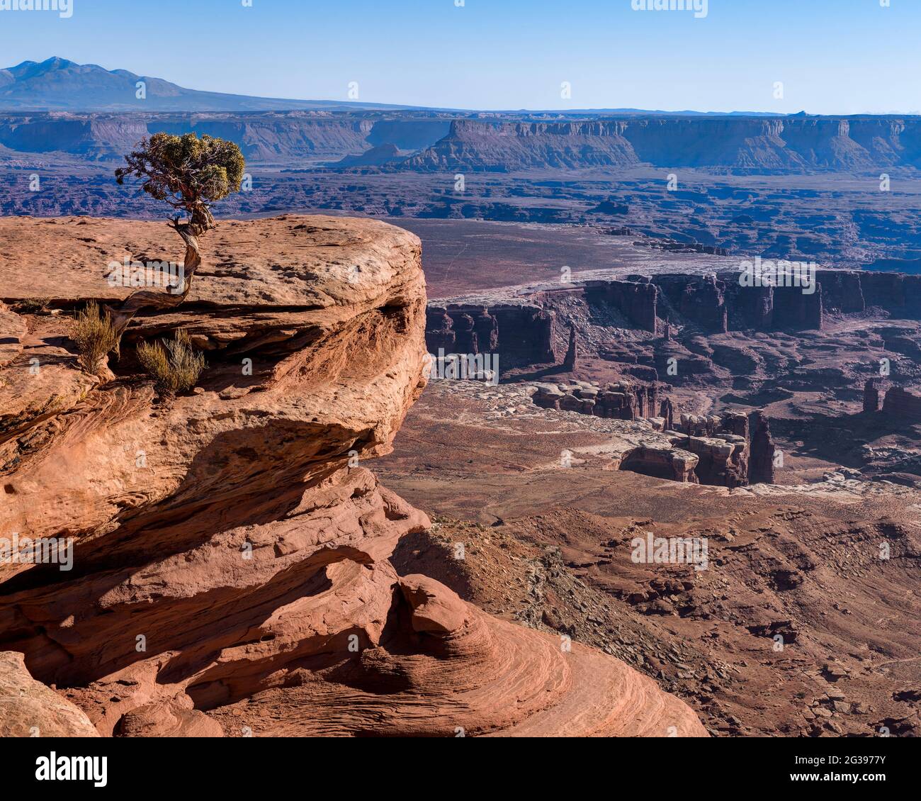 Vista da Grand View Point, Canyonlands National Park, Utah, USA Foto Stock
