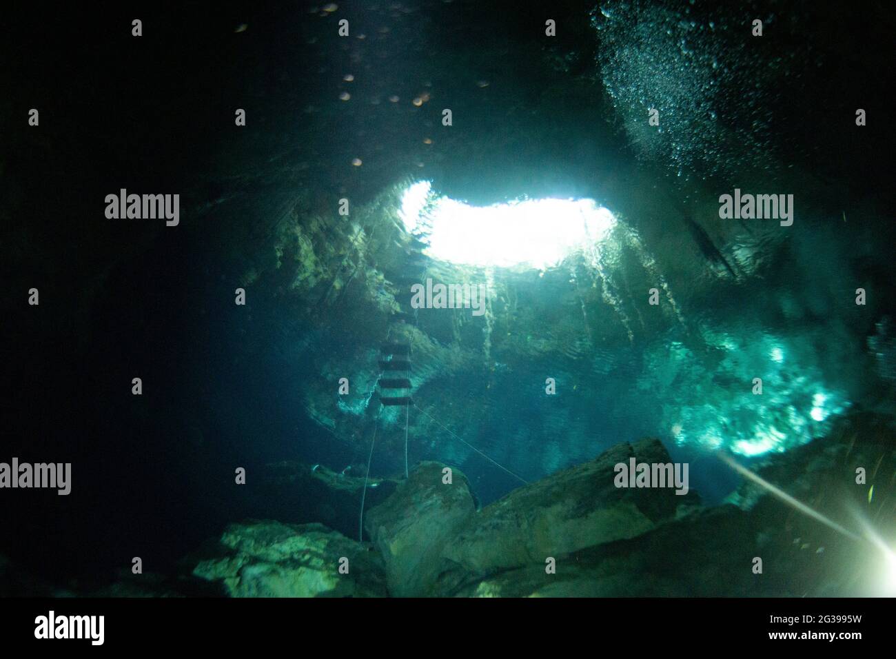 Immersioni subacquee in Messico denota in Yucatan. Foto Stock