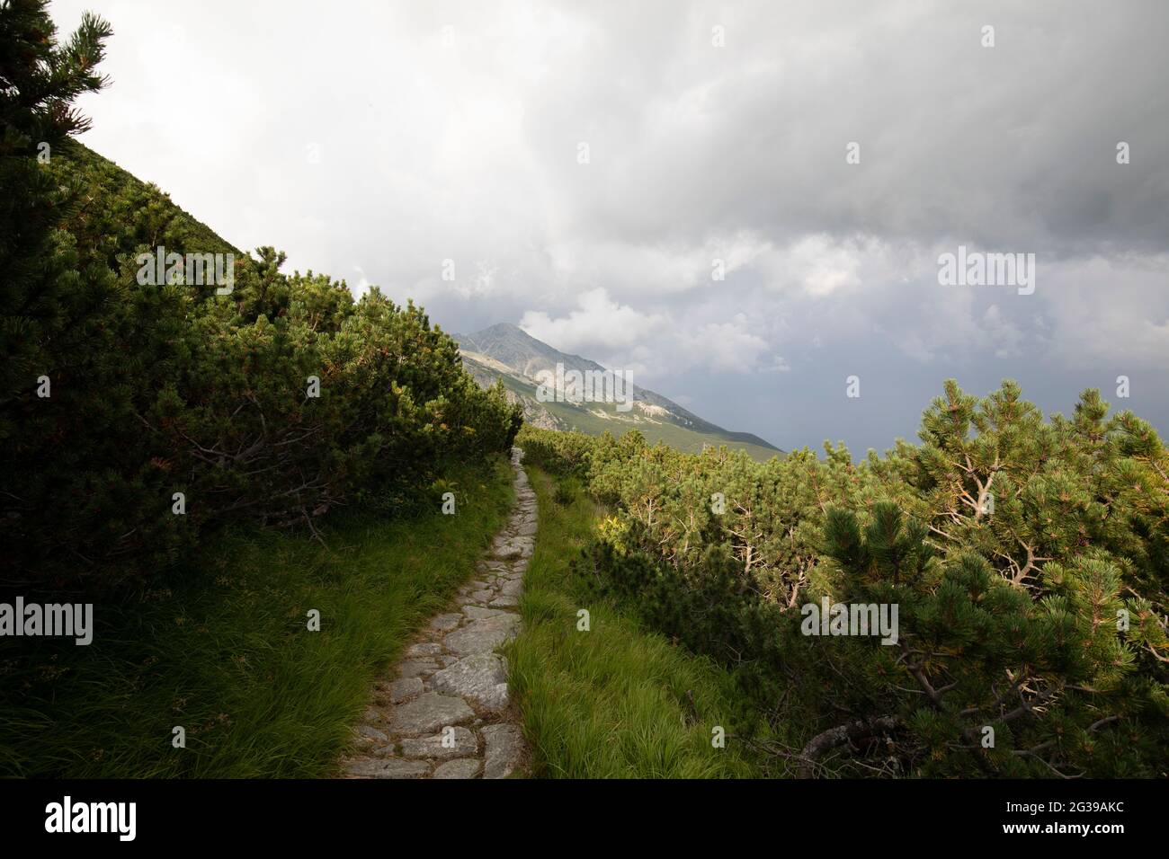 Montagne Tatra in estate Foto Stock