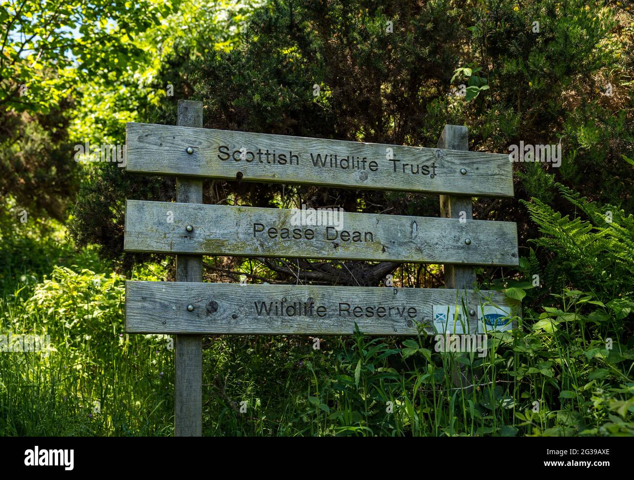 Cartello in legno della riserva naturale Scottish Wildlife Trust, Pease Dean, Berwickshire, Scottish Borders, Scotland, REGNO UNITO Foto Stock