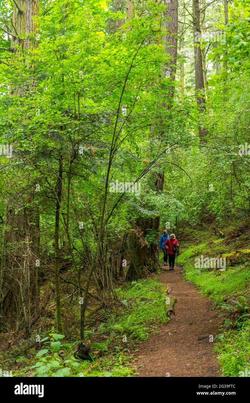 Donne anziane (modello rilasciato) che camminano attraverso la foresta sul Sentiero del Parco di Stato di ostruzionismo Pass sull'Isola di Orcas nelle Isole San Juan a Washington Foto Stock