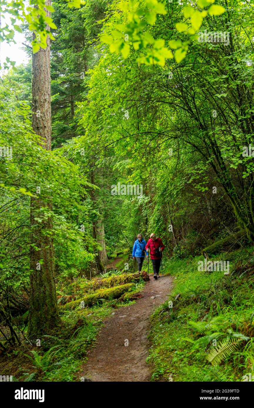 Donne anziane (modello rilasciato) che camminano attraverso la foresta sul Sentiero del Parco di Stato di ostruzionismo Pass sull'Isola di Orcas nelle Isole San Juan a Washington Foto Stock