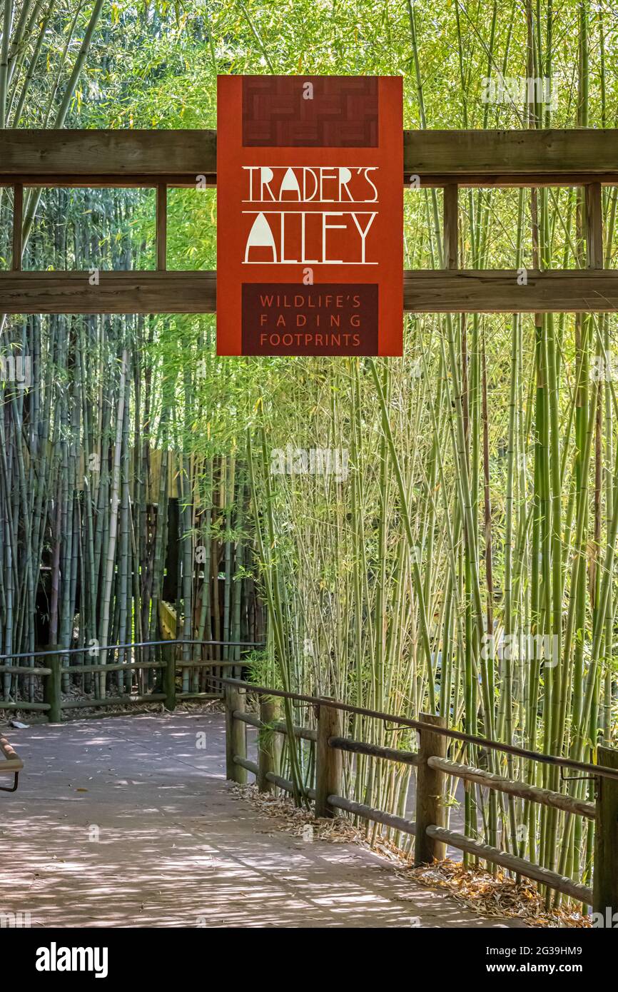 Trader's Alley - l'esposizione degli animali delle footprint della fauna selvatica allo Zoo di Atlanta è focalizzata sul commercio di animali rari e in via di estinzione. (STATI UNITI) Foto Stock