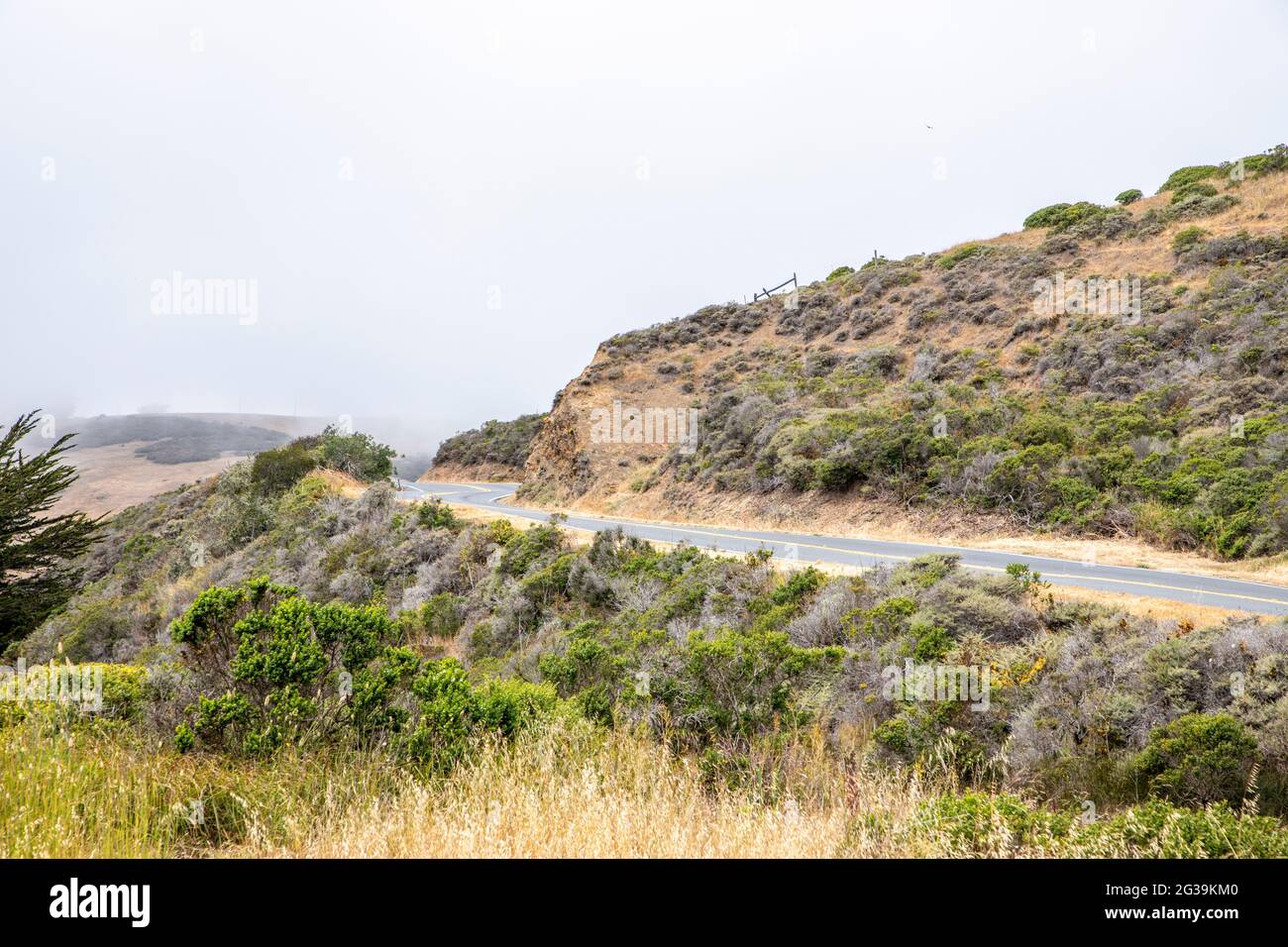 Tomales Bay è una lunga e stretta insenatura dell'Oceano Pacifico nella contea di Marin, California. Gran parte della zona circostante è un parco statale. Foto Stock