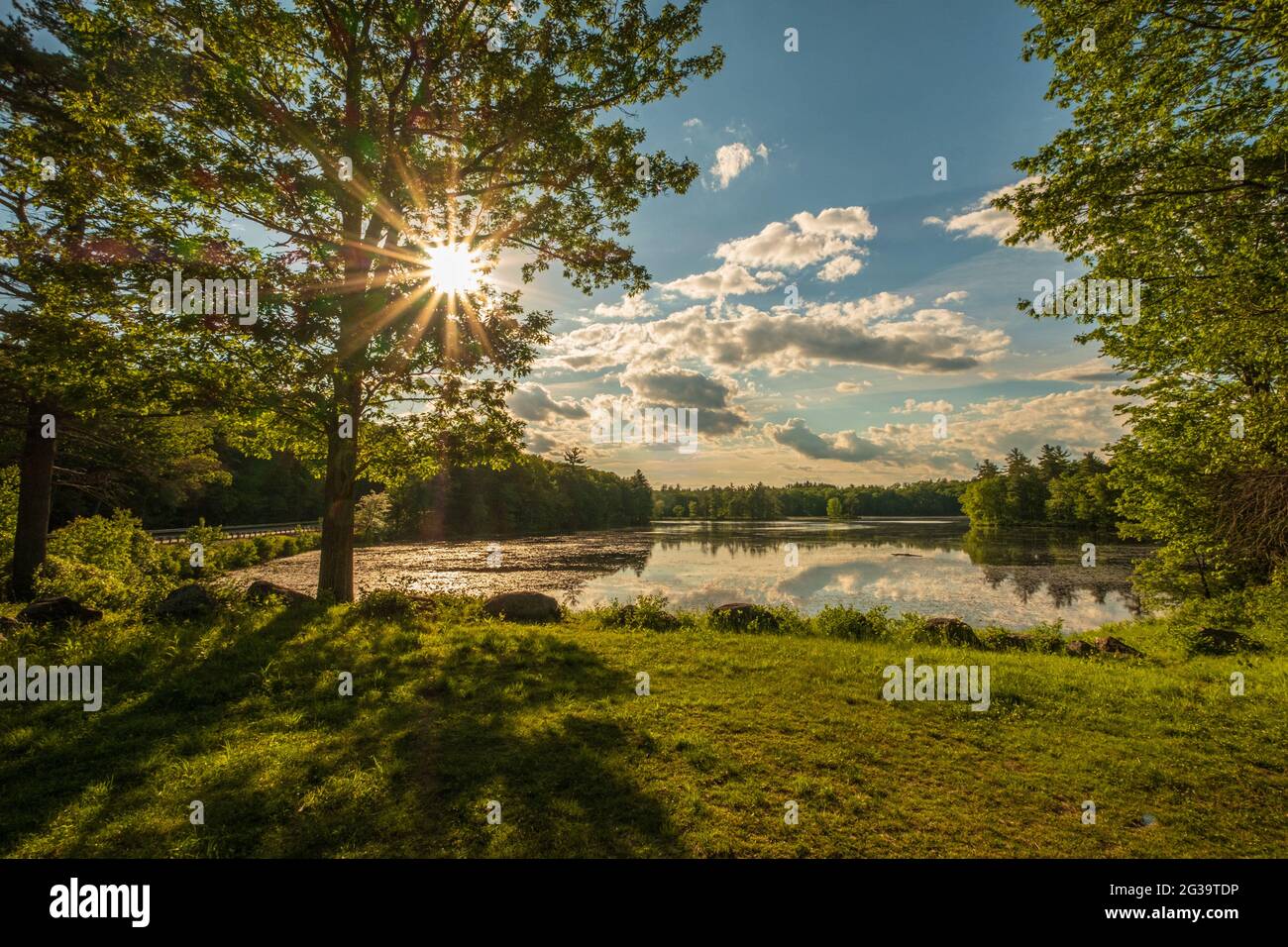 Tardo pomeriggio a Harvard Pond a Petersham, Massachusetts Foto Stock