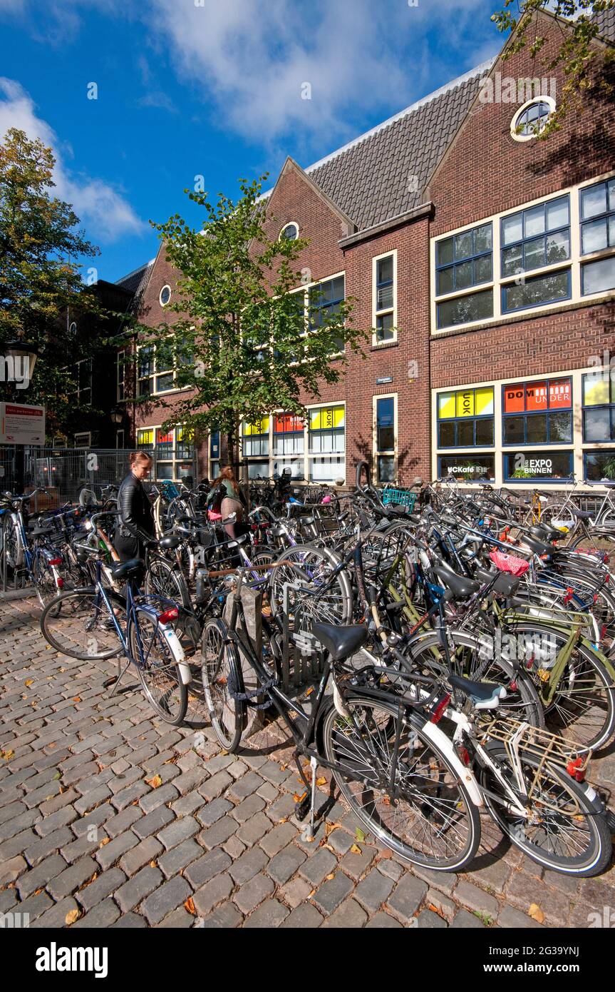 Biciclette parcheggiate su un lato della piazza della Cattedrale, Utrecht, Paesi Bassi Foto Stock