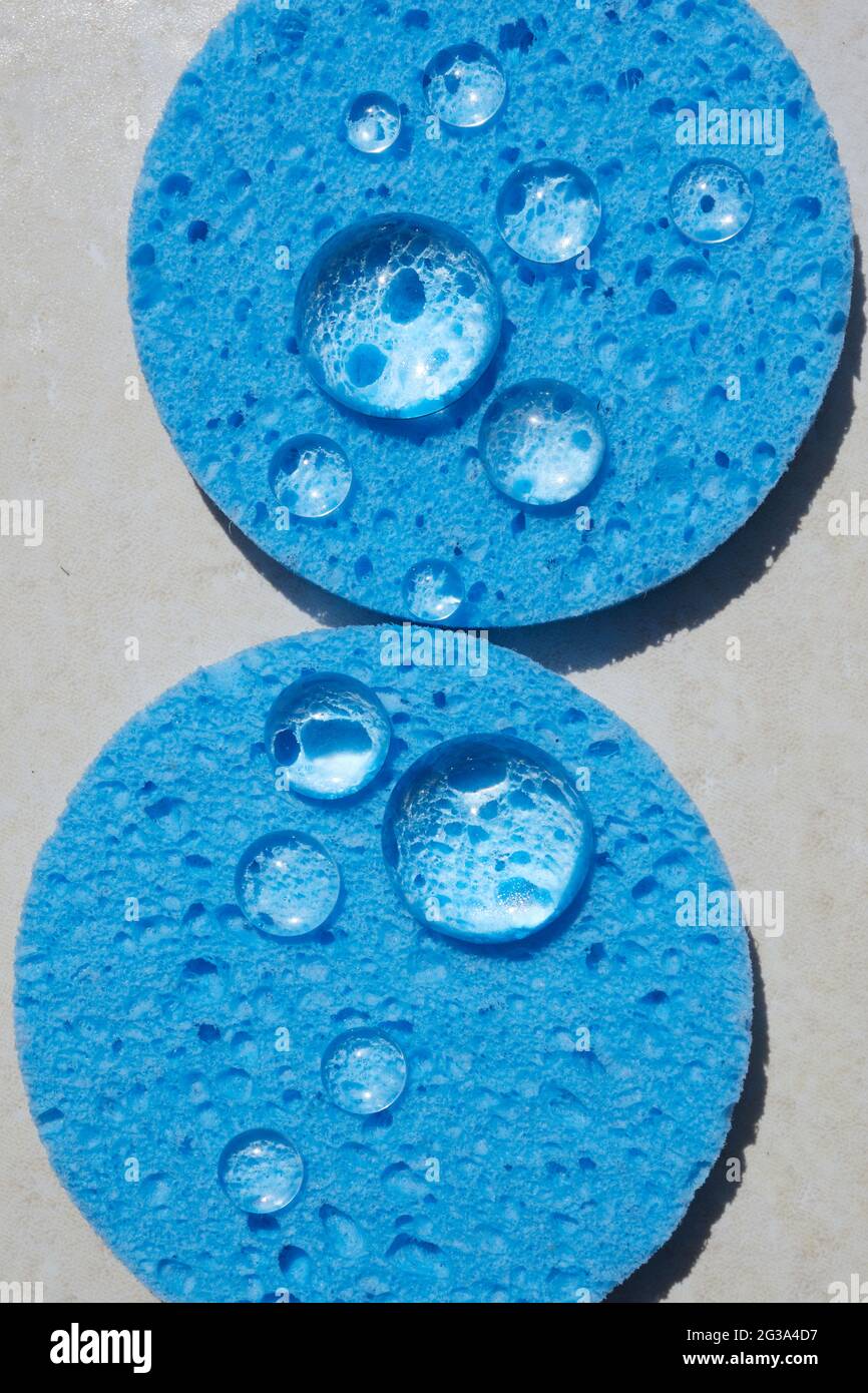 Spugna blu da vicino con gocce d'acqua. Pulizia del viso e make-up Rimozione di Beauty routine Foto Stock