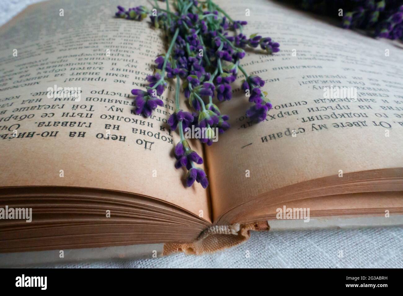 un libro aperto con erbe Foto Stock