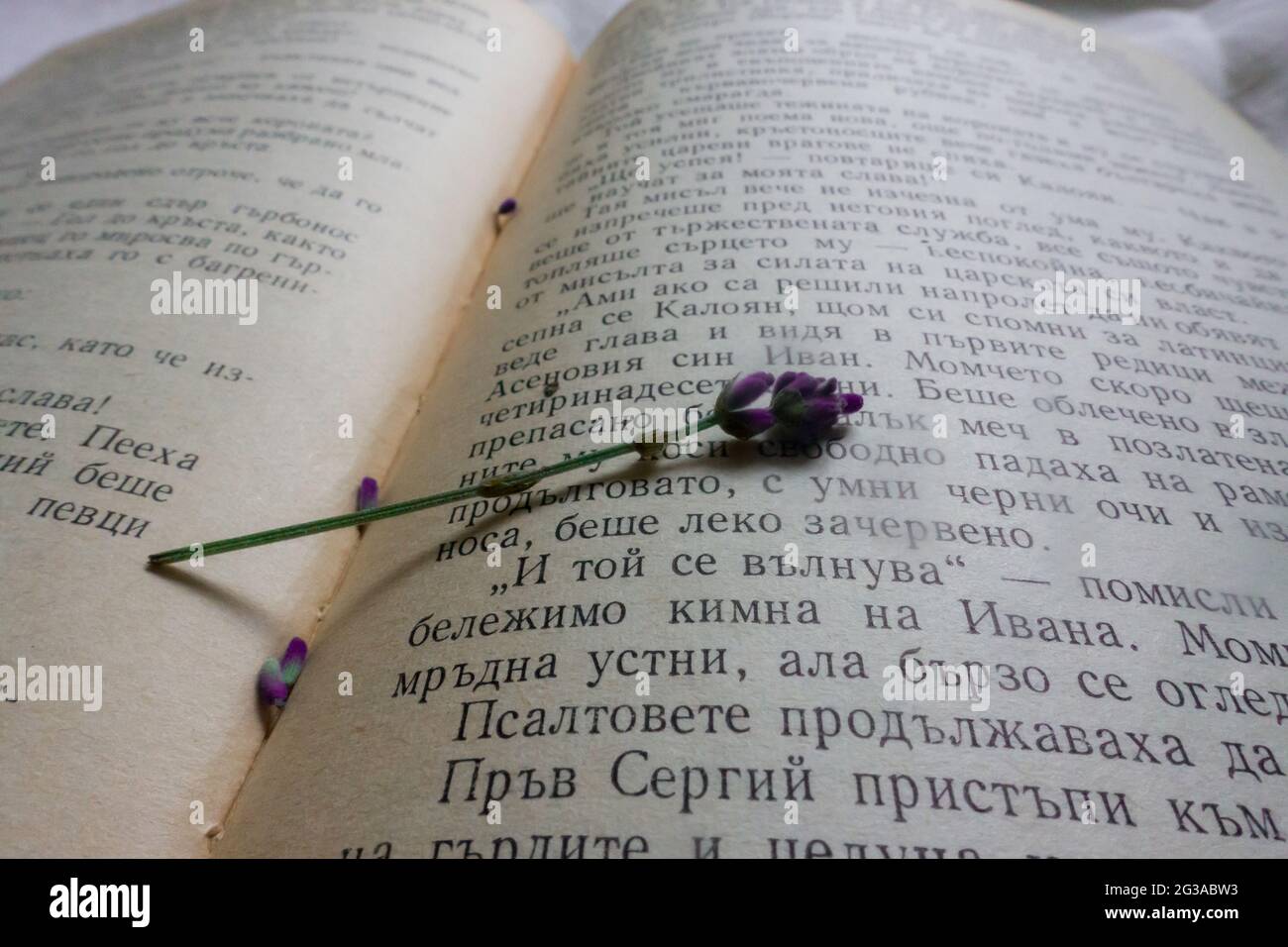 un libro aperto con erbe Foto Stock