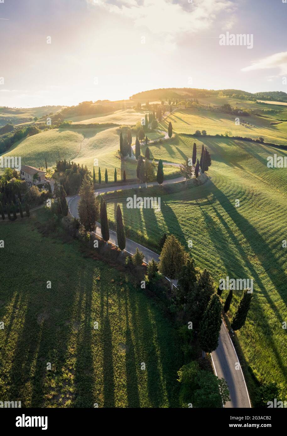 Vista aerea dell'iconica strada dei cipressi di Monticchiello all'alba. Pienza, Valle d'Orcia, Siena, Toscana, Italia, Europa. Foto Stock