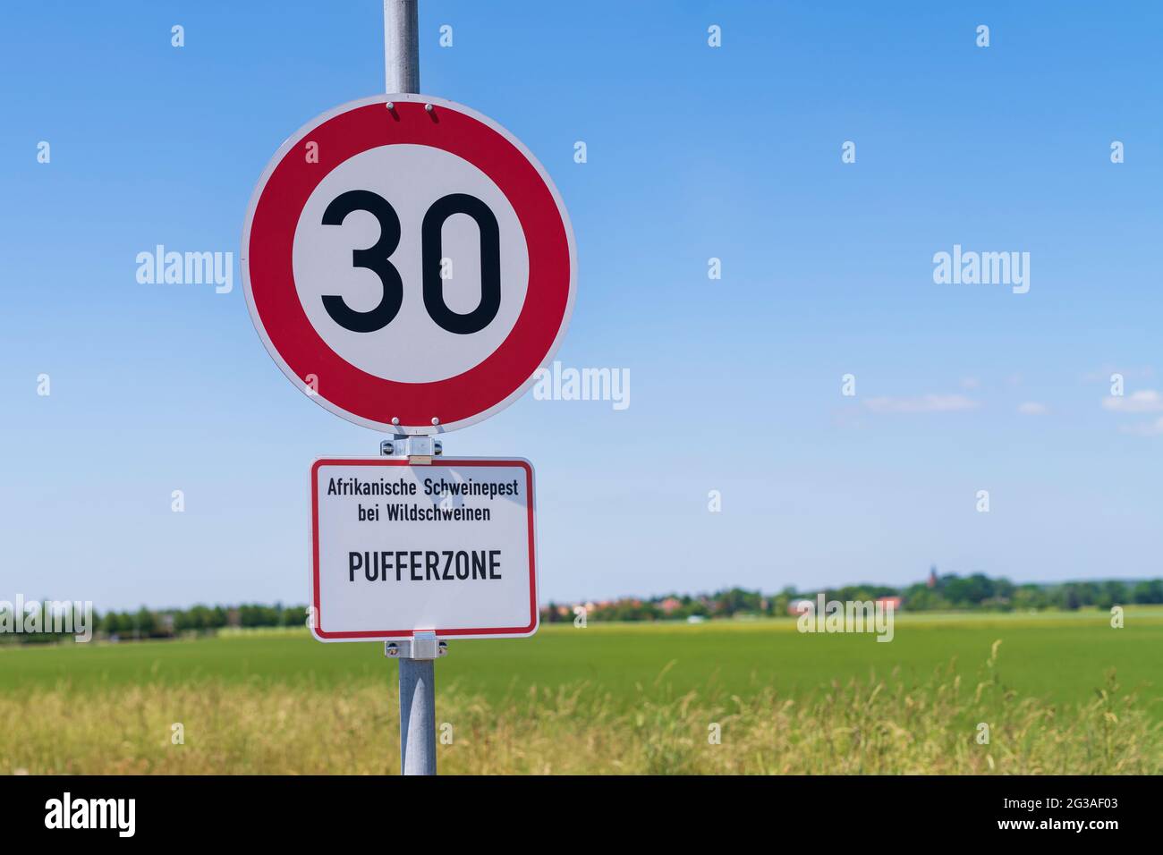 Un segnale stradale per il limite di velocità e il segno supplementare in lingua tedesca , peste suina africana in animali selvatici , zona tampone Foto Stock