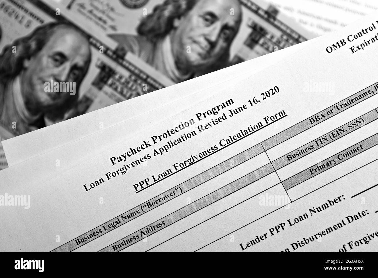 fuoco selettivo monocromatico foto del programma di protezione del pagamento modulo di richiesta di perdono del prestito rivisto, su uno sfondo di fatture del dollaro Foto Stock