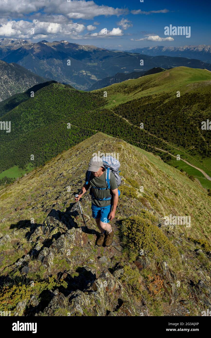 Salendo fino alla cima di Salòria dal passo del Colle di Conflent dalla cresta (Parco Naturale Alt Pirineu, Catalogna, Spagna, Pirenei) Foto Stock