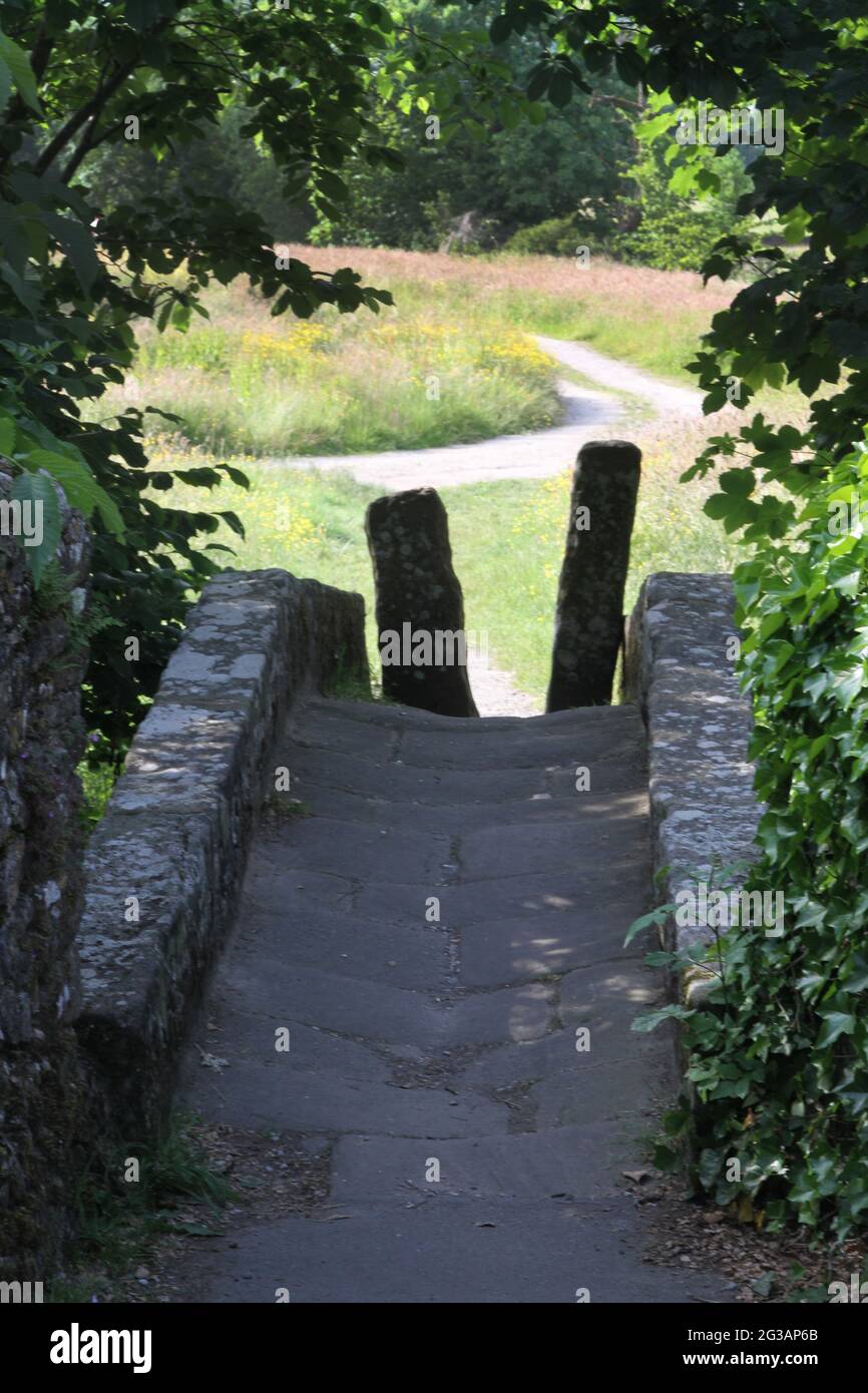 Grassington, Yorkshire, Regno Unito. Ponte di pietra che attraversa il Capitano Beck conosciuto come il ponte di li'le Emily. Probabilmente tardi C17- inizio C18. Macerie, arco singolo, Foto Stock