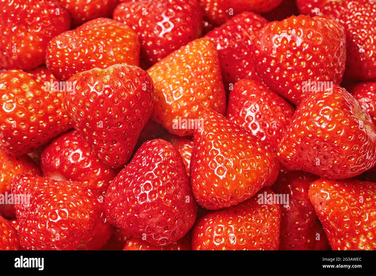Primo piano di fragole fresche mature Foto Stock