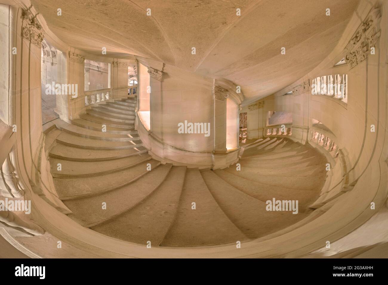 FRANCIA - VALLE DELLA LOIRA - LOIR ET CHER (41) - CASTELLO DI CHAMBORD : LA GRANDE SCALA CON DOPPIA RIVOLUZIONE (O 'DOPPIA ELICA'), CHE PROBABILMENTE UNO OW Foto Stock