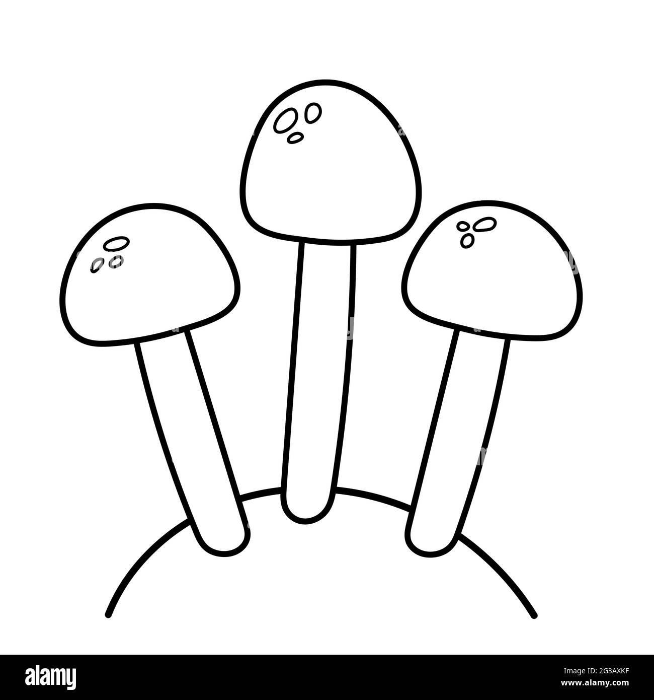 Funghi commestibili. Illustrazione vettoriale in stile doodle. Illustrazione Vettoriale