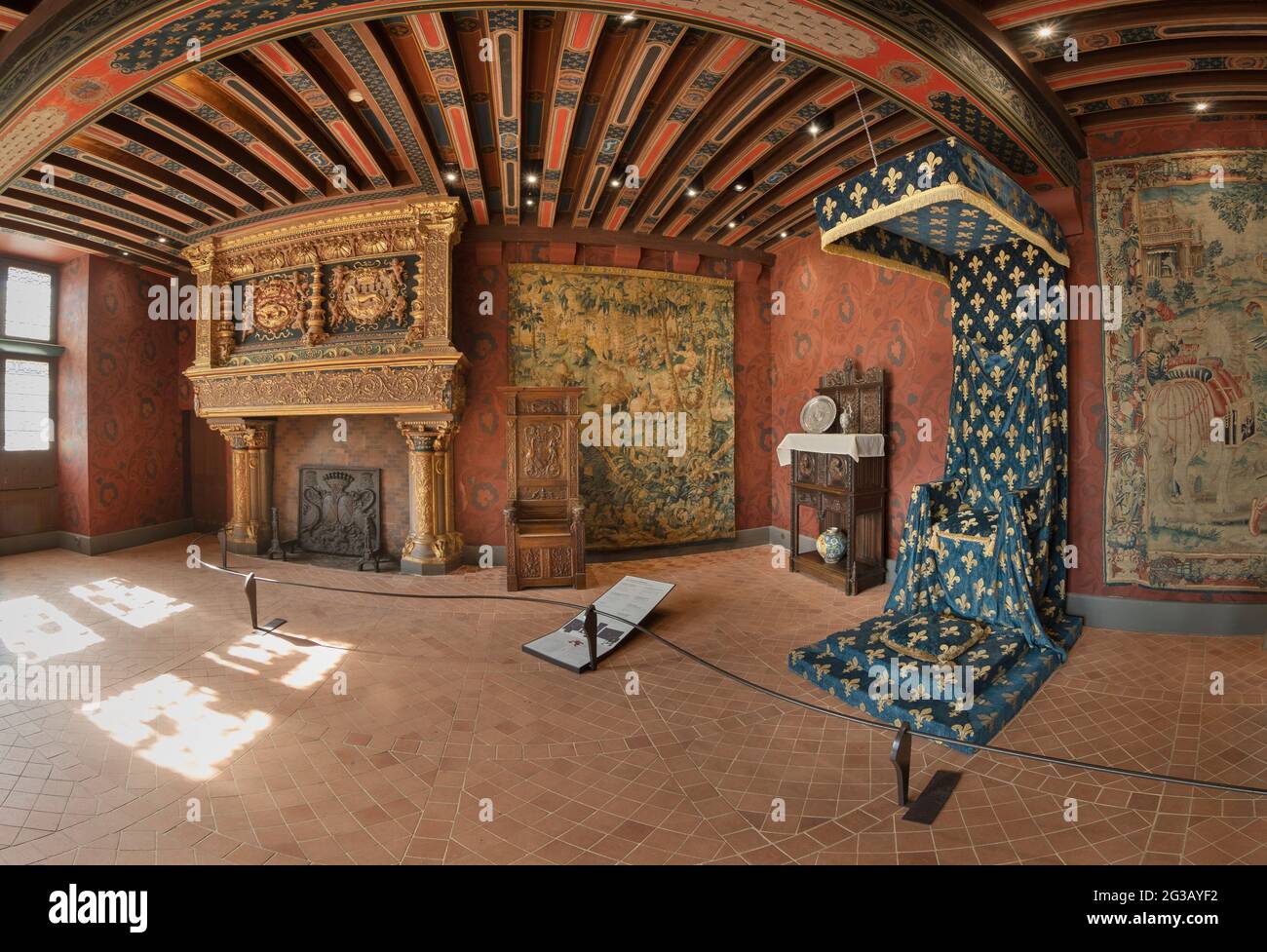 FRANCIA - VALLE DELLA LOIRA - LOIR ET CHER (41) - CASTELLO DI BLOIS : SALA DEL RE, DECORATA CON DUE CAMINETTI IL CUI ARREDAMENTO È IN PARTE ORIGINALE. IL FLEUR-DE- Foto Stock