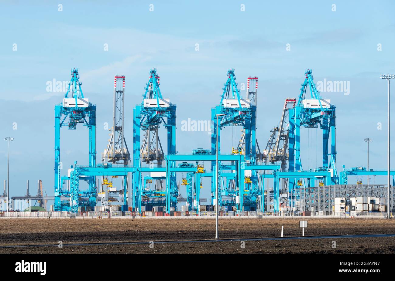 rotterdam,holland,24-01-2015:nuove gru industriali blu per il carico e lo scarico nel nuovo porto olandese chiamato second maasvlakte Foto Stock