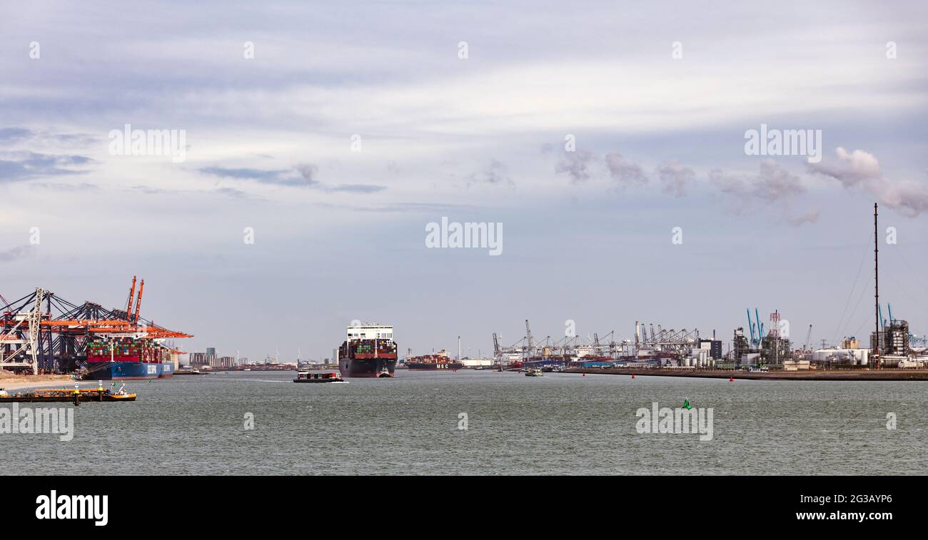 Rotterdam, Olanda, 01-marzo-2020: Il nuovo terminal dei container presso il maasvlakte vicino rotterdam, questo è uno dei più grandi terminal dei container nel mondo Foto Stock