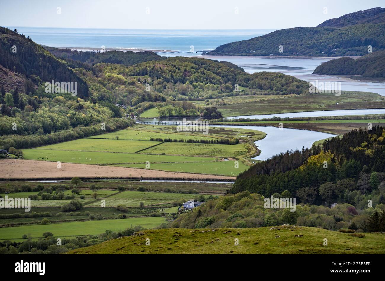 Mawddach dalla passeggiata Precipice, Dolgellau, Gwynedd Galles del Nord Regno Unito. Foto Stock