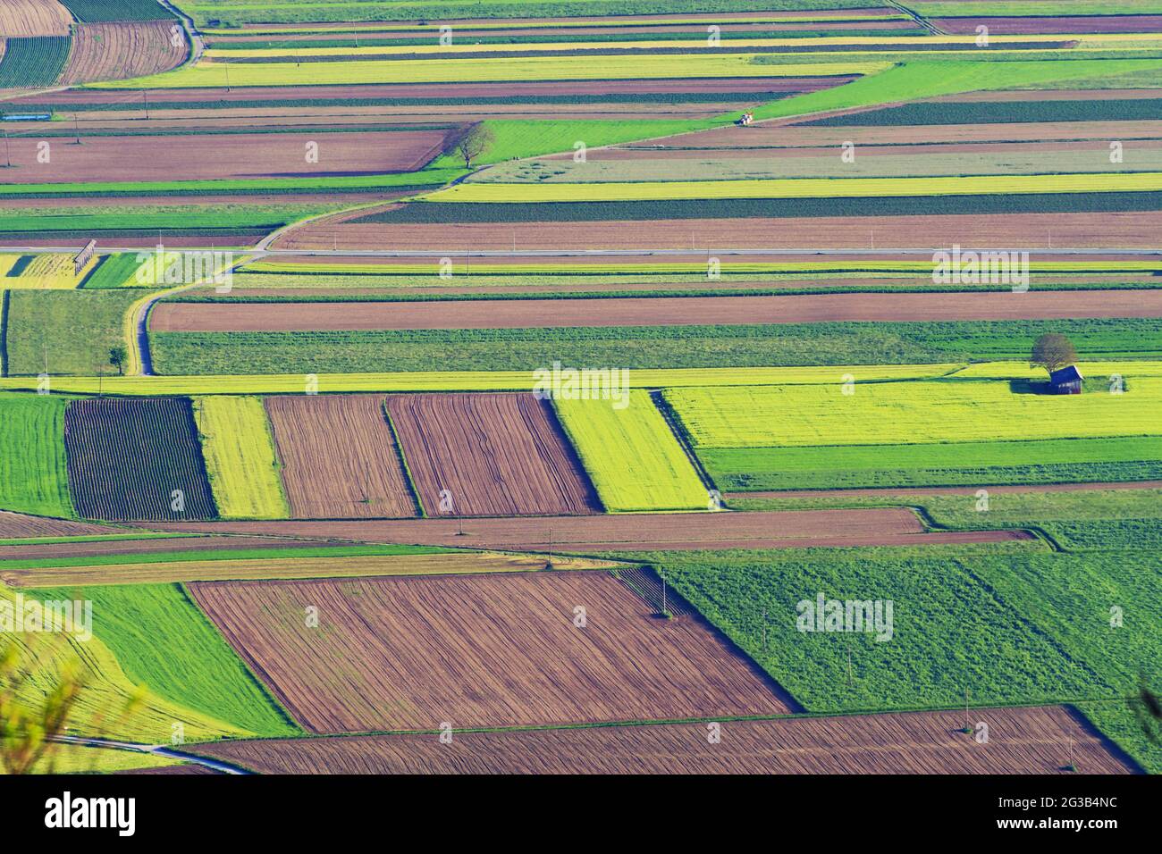 Vista aerea dei colorati campi coltivati nella campagna della Slovenia. Agricoltura, agricoltura biologica e concetti di natura Foto Stock
