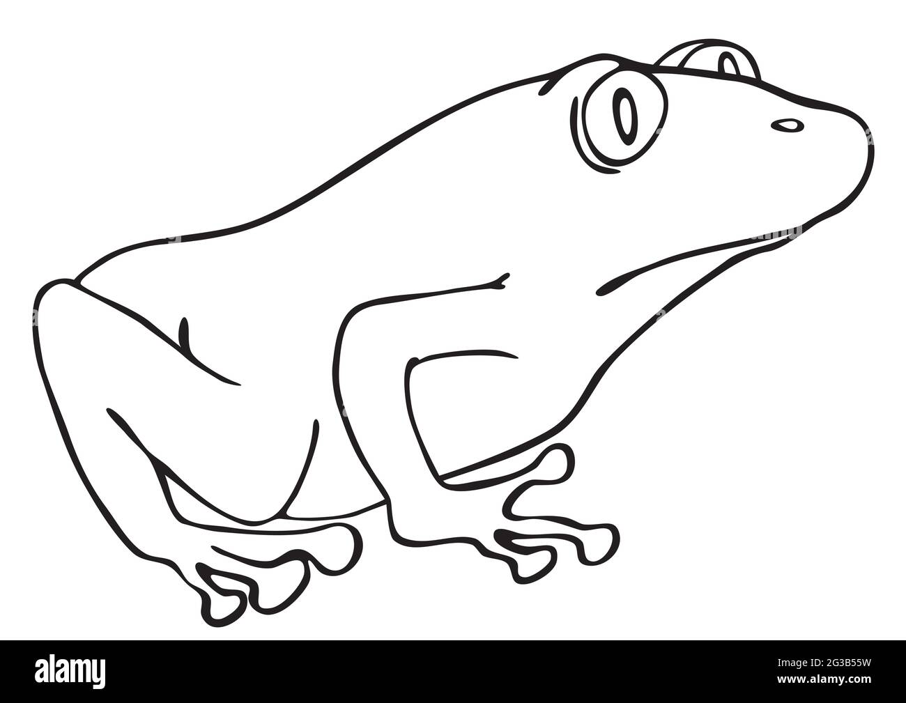 Illustrazione cartoon della rana verde Illustrazione Vettoriale