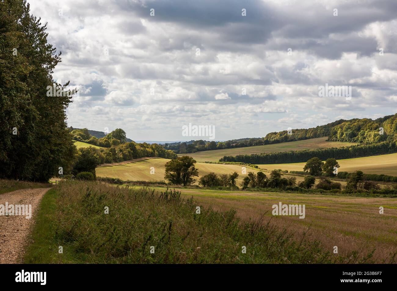 Campagna vicino a Stoughton nel South Downs National Park, West Sussex, Inghilterra, Regno Unito Foto Stock