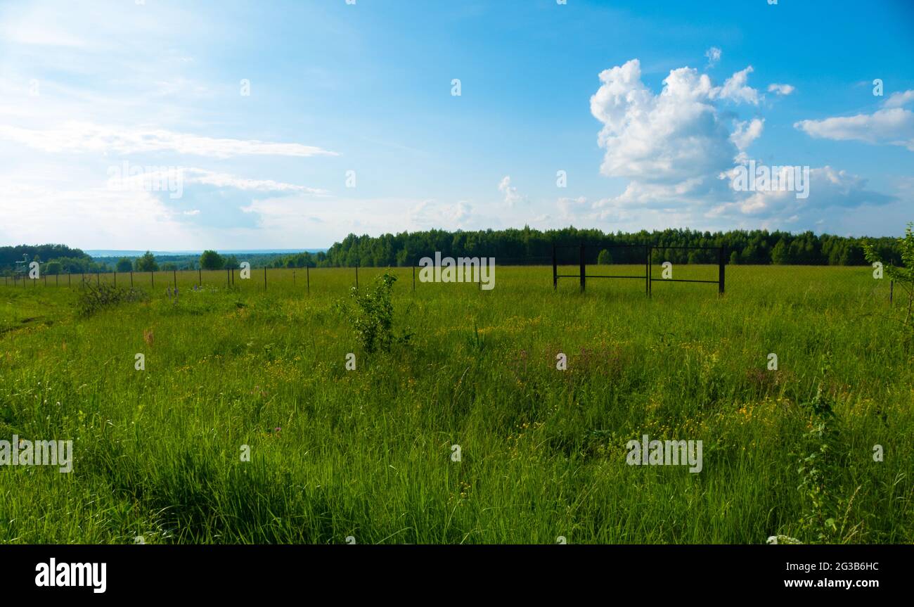 Campo russo in estate in Russia 2021 Foto Stock